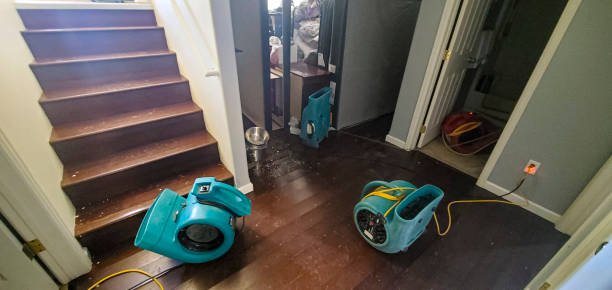Best Flood damage cleanup  in North Hudson, WI