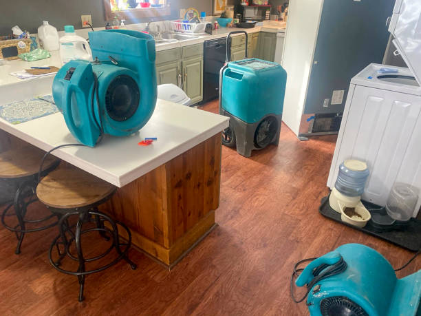 Best Water damage restoration services  in North Hudson, WI