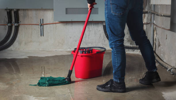 Best Ceiling water damage repair  in North Hudson, WI
