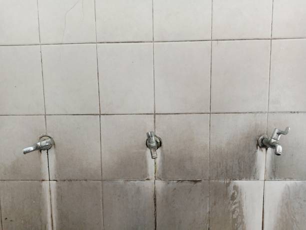 Best Residential water damage restoration  in North Hudson, WI