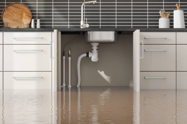 Best Water damage restoration company  in North Hudson, WI