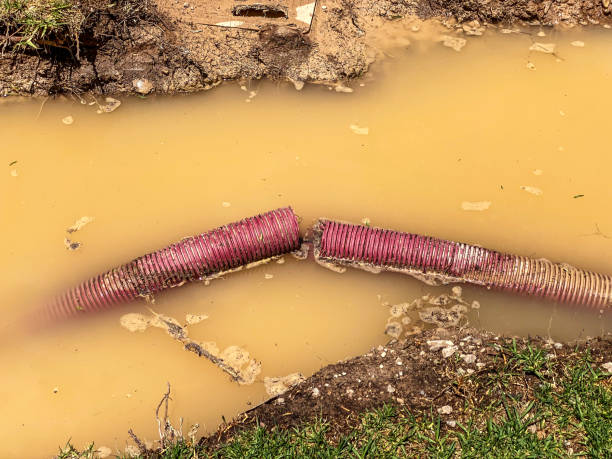 Best Sewage cleanup and water damage restoration  in North Hudson, WI