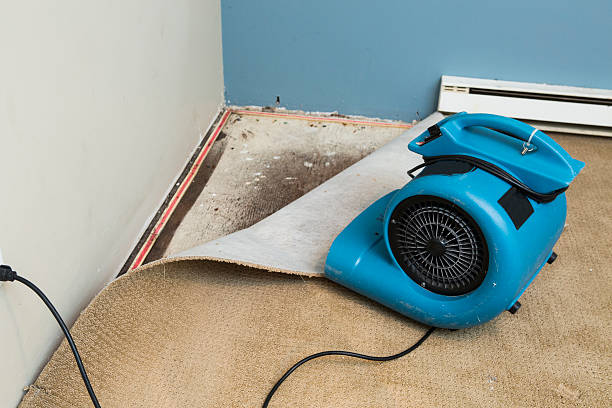 Best Carpet water damage restoration  in North Hudson, WI